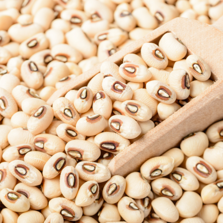 Low Budget Crops To Grow This Season.