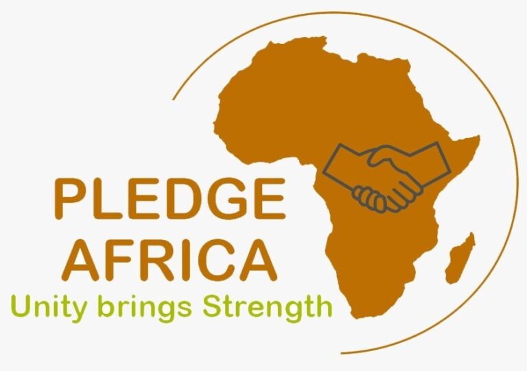 PLEDGE AFRICA, A FUNDING PLATFORM FOR YOUR NEXT PROJECT.