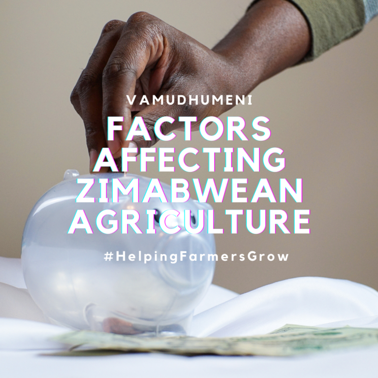 FACTORS AFFECTING ZIMBABWEAN AGRICULTURE