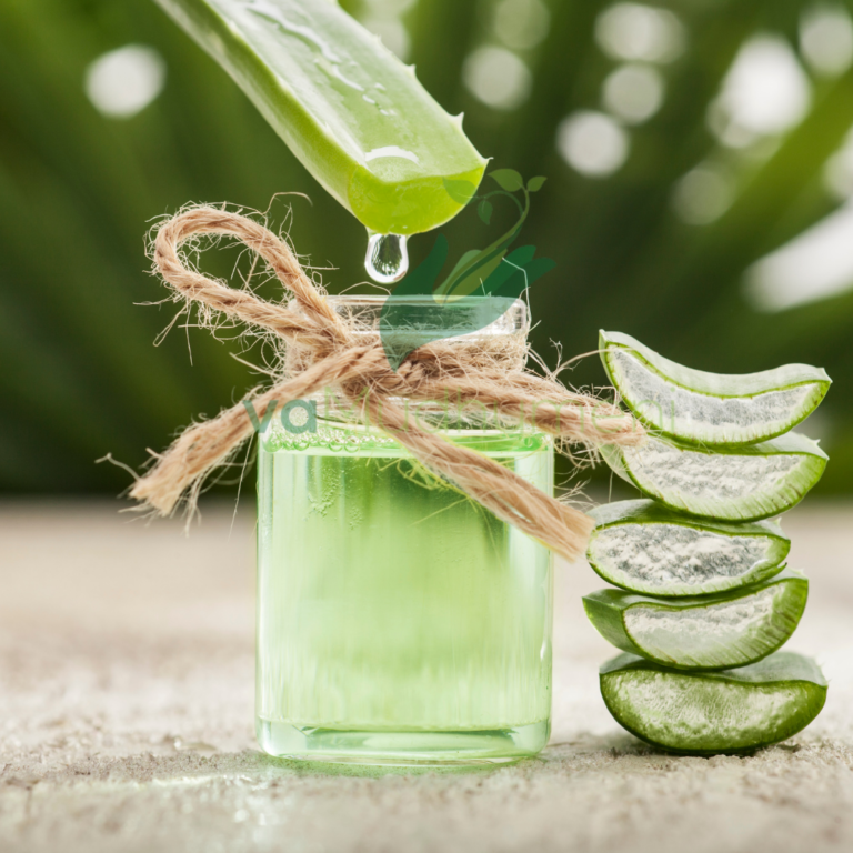 USING ALOE VERA FOR HEALTHIER HAIR AND SKIN