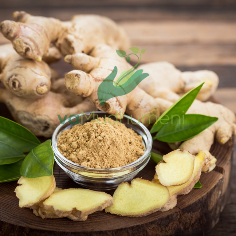 Ginger, An Easy To Grow Nutrient-Filled Herb