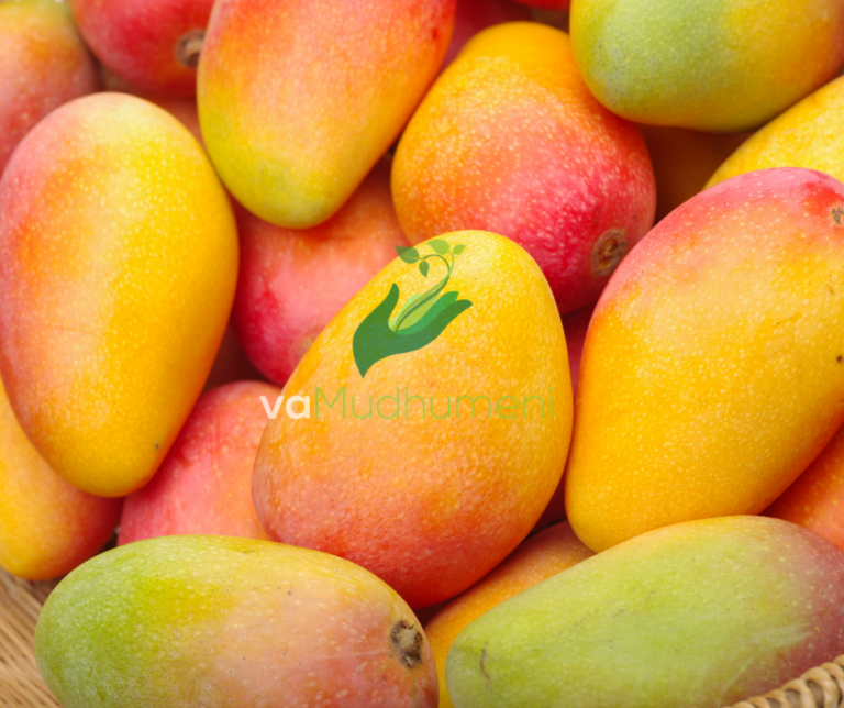 Mango