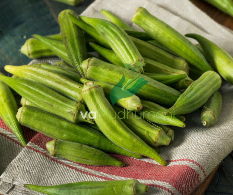Fried Okra