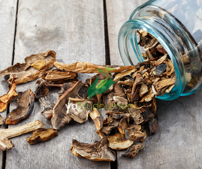 Dried mushroom in peanut butter.😋🍄🍄🍄