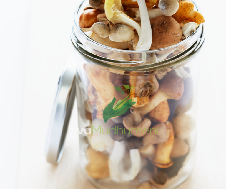 Identifying Edible Wild Mushrooms