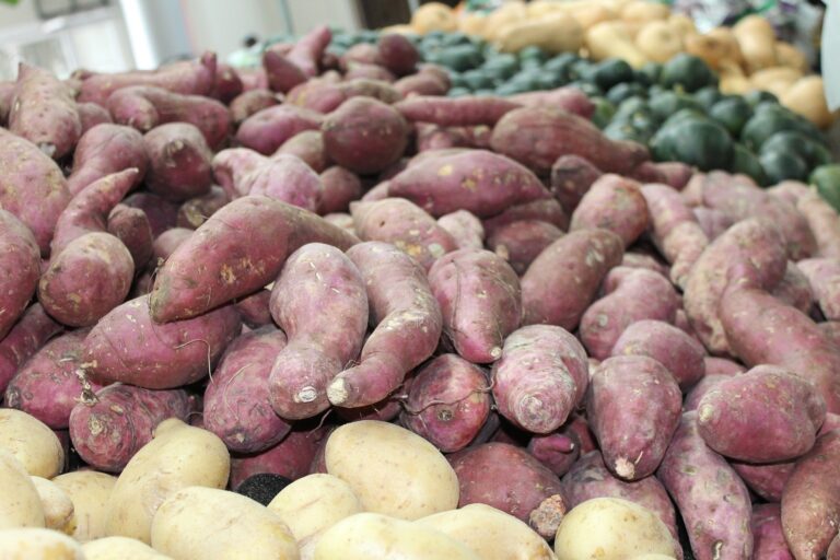 SWEET MONEY FROM SWEET POTATOES