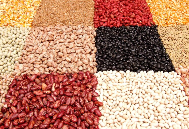 “POWER FOODS” (Legumes and Whole grains)