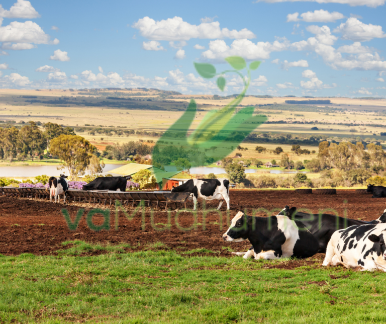 FACTORS TO CONSIDER WHEN SITING FARM STRUCTURES