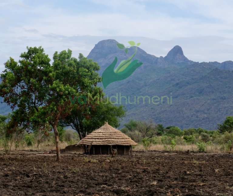 THINGS TO TAKE INTO CONSIDERATION WHEN  RENTING FARMLAND