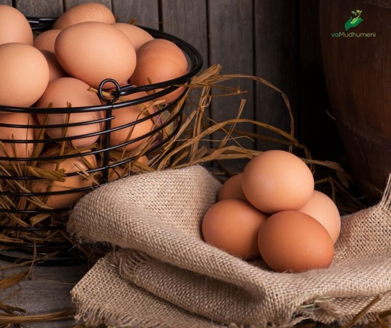 WHERE ARE THE EGGS?