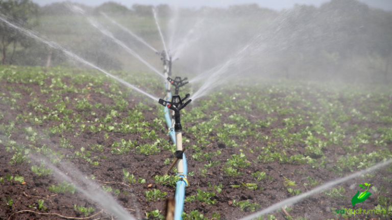 Your Irrigation System