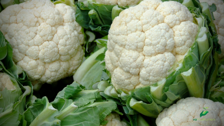cauliflower