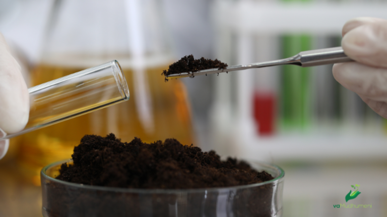Soil sampling