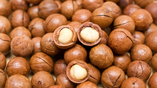 Macadamia nuts production – vaMudhumeni