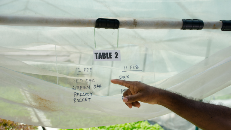 Effects Of Poor Timing In Agriculture