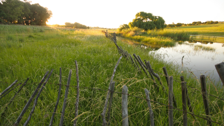 Winter – What to do