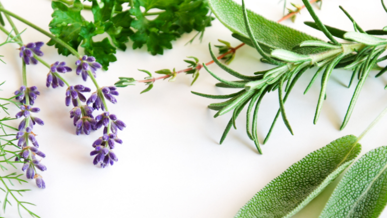 HEALTH SOLUTION IS IN YOUR GARDEN