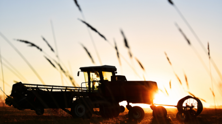 5 PRACTICES TO AVOID ON YOUR FARM