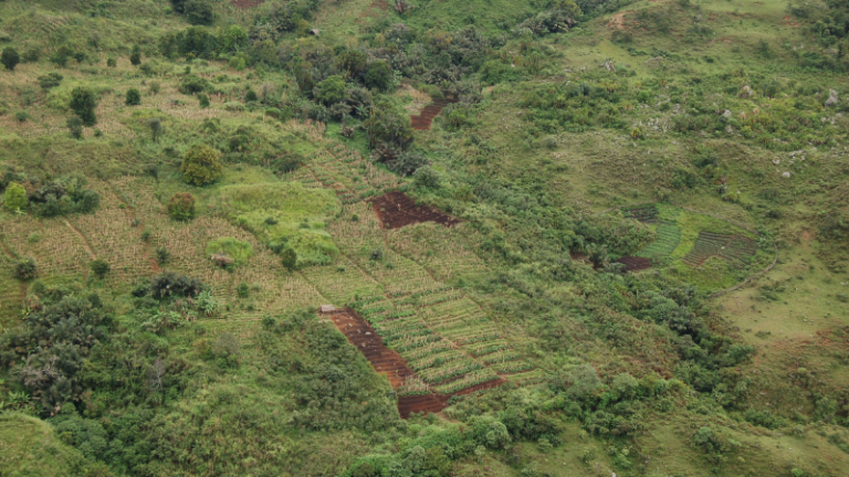 ZONES & RESPECTIVE FARMING ACTIVITIES