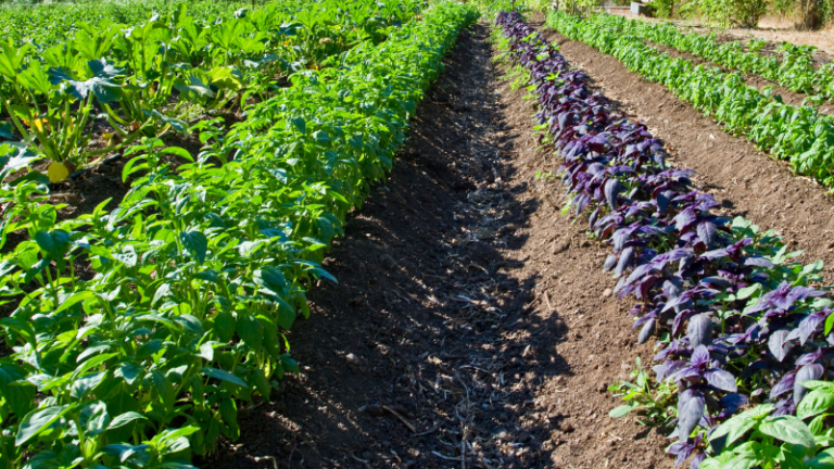 STEPS TO BUILDING YOUR OWN WHOLE FARM PLAN