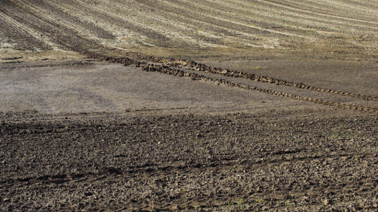 NEW SEASON PREPARATIONS