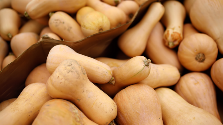 BUTTERNUT PRODUCTION GUIDE