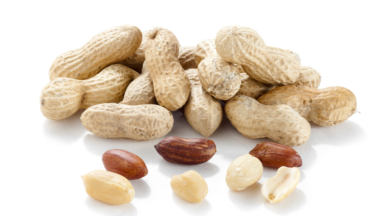 GROUNDNUT PRODUCTION