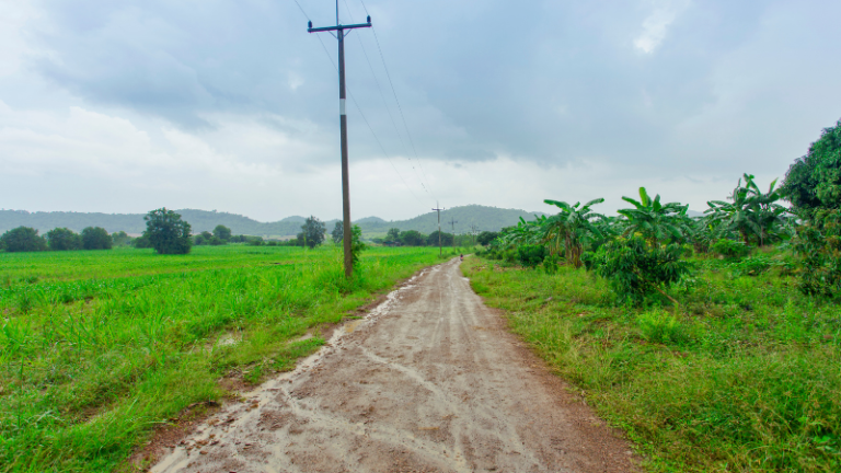 SIGNS THAT THE RAINS ARE COMING