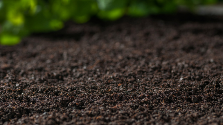 SUSTAINABLE FARMING THROUGH SOIL CONSERVATION