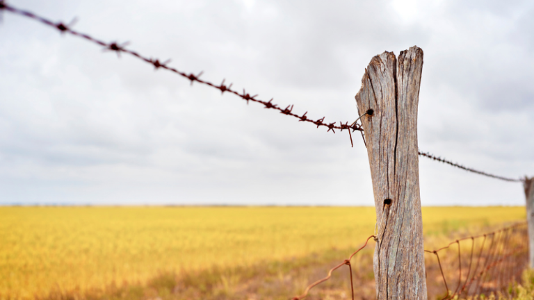 Picking The Right Fence For Your Farm