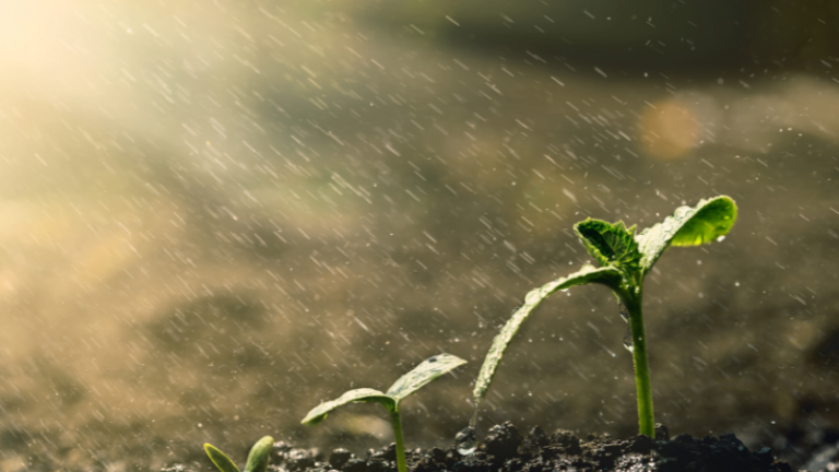 DEALING WITH HEAVY RAINS