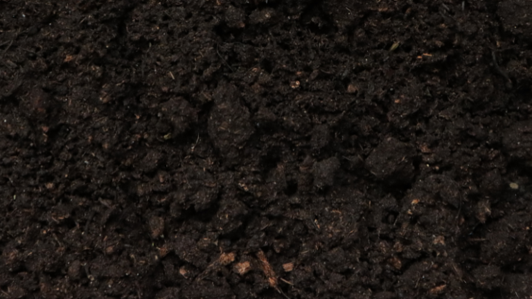 MAINTAINING SOIL FERTILITY