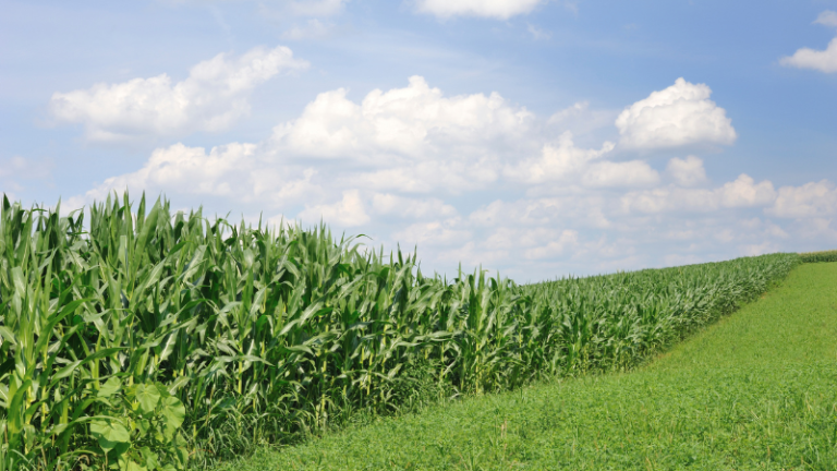 Conserving Farmland For Future Generations