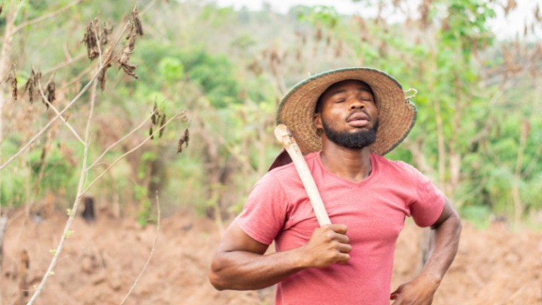 THE JOURNEY OF A FARMER